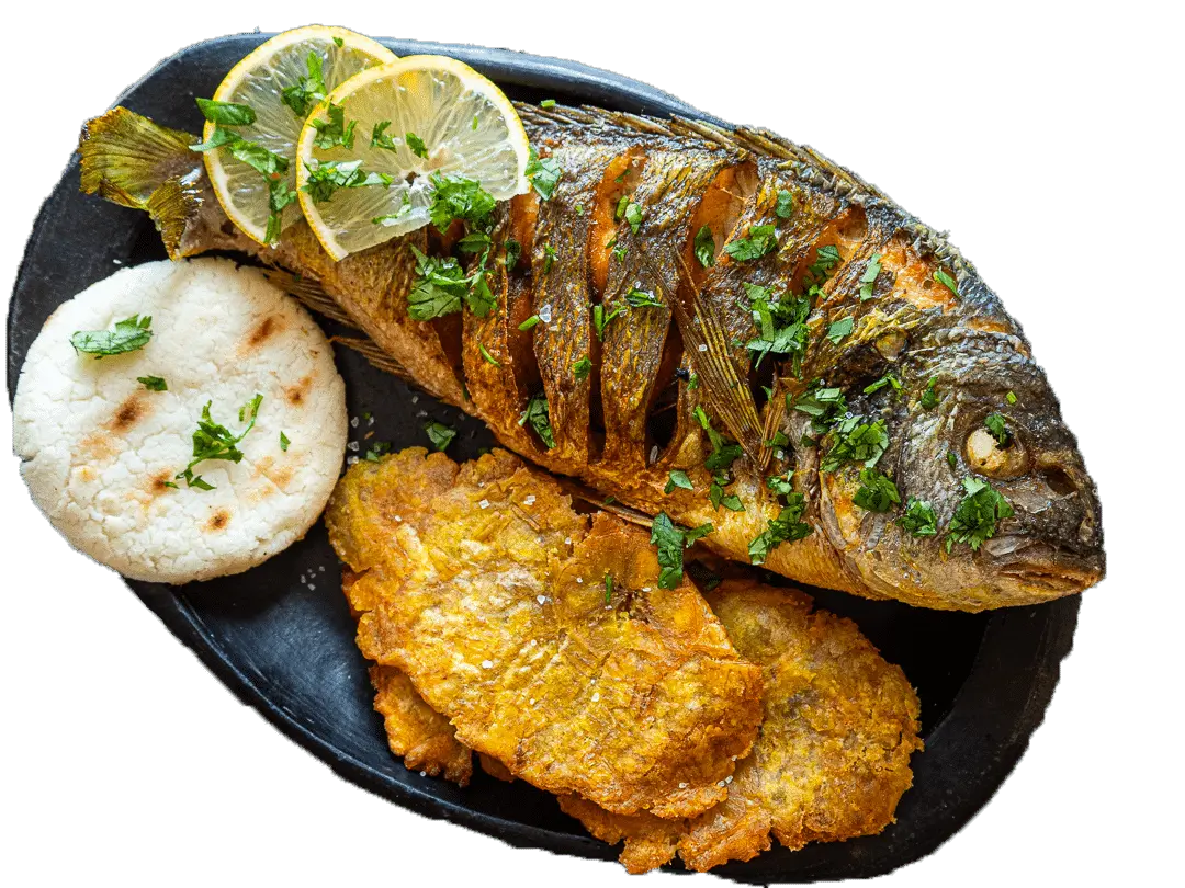 Dorade colombiantaste